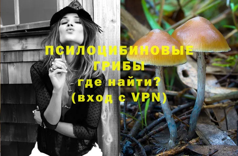 Псилоцибиновые грибы Psilocybe Тюкалинск